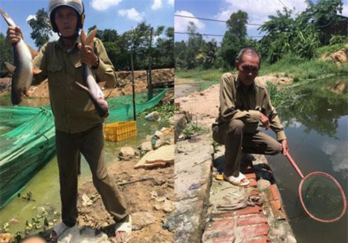 Bà Rịa - Vũng Tàu: Tỷ phú đất Tóc Tiên, 80 tuổi vẫn nuôi 400 tấn cá bằng....mỳ tôm vụn