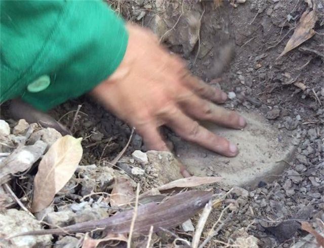 Vụ 300 xác thai nhi ở Cà Mau: Mẫu giám định trong hũ sành là xương người