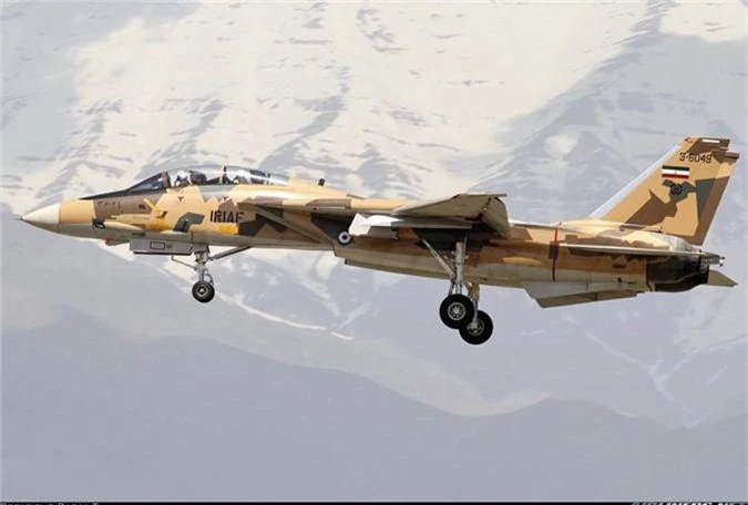 “At chu bai” F-14 cua Khong quan Iran co con dan…de chien dau?-Hinh-5