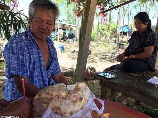 Vui tay ngồi nạo “khối lạ lùng”, người đàn ông tiếc ngẩn ngơ vì không biết đó là báu vật - 2