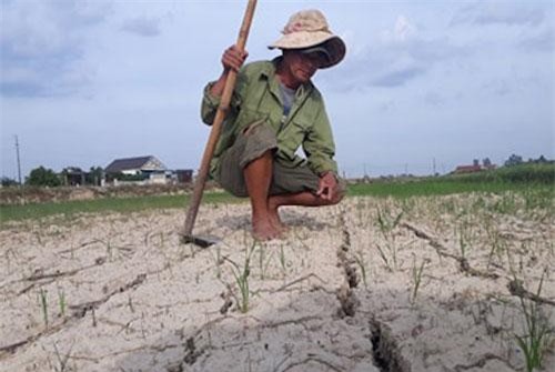 Quảng Trị: Hạn hán khốc liệt, dân biến đất nứt nẻ thành ruộng dưa ngọt