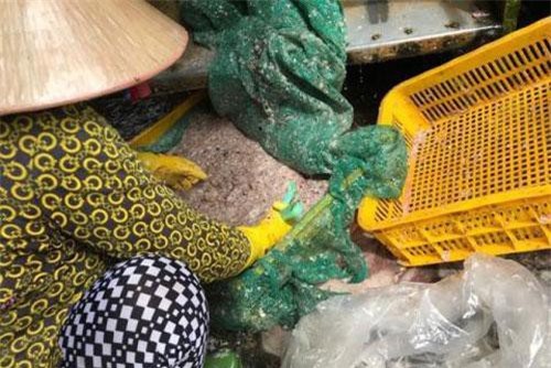 Thương lái ồ ạt thu mua vảy cá tại Đồng Tháp