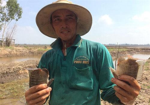 Đồng Tháp: Anh Hai Lúa miền Tây là tỷ phú vì có cánh đồng trù phú 30ha