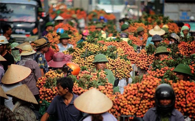  Vải thiều Bắc Giang đạt doanh thu khủng hơn 6.000 tỷ đồng