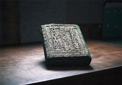 Siêu phẩm sách rễ cây biết lớn lên từng ngày