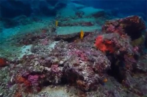 Clip: Cận cảnh xác tàu đắm cổ nhất thế giới mới được phát hiện