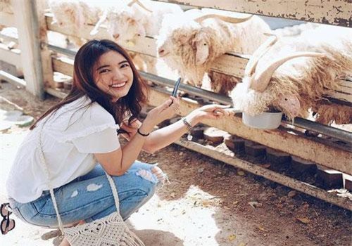 5 cung Hoàng đạo đón nhận chỉ toàn bình yên và vui vẻ trong ngày thứ Bảy (6/7)