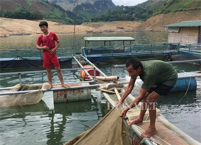 coi song da la canh dong nuoc, nuoi toan ca ngon, ban dat hang hinh anh 2