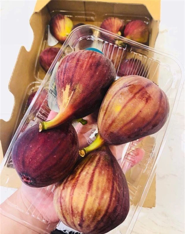 Quả dại đáng ghét ở Việt Nam, Trung Quốc chế thành thảo dược đắt đỏ - 1 Quả dại đáng ghét ở Việt Nam, Trung Quốc chế thành thảo dược đắt đỏ - 1