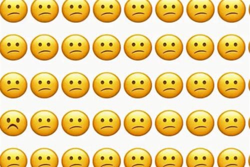 CLIP: ‘Hoa mắt mèo’ đi tìm lời giải cho những câu đố này