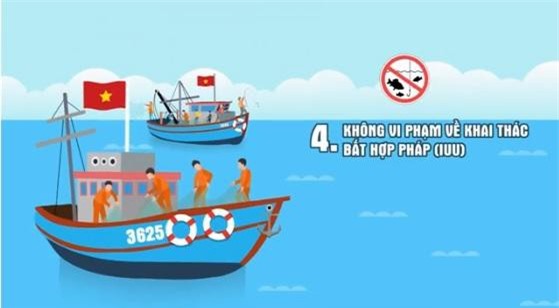 Chống khai thác IUU: Những quy định chủ tàu cần ghi nhớ khi ra khơi