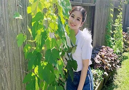 Cuộc sống của cô gái Hà Nội xinh đẹp một mình nuôi con ở Mỹ