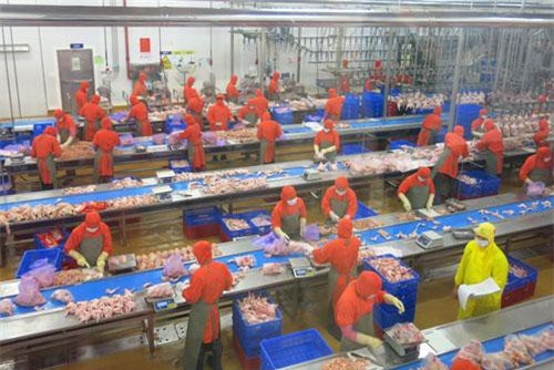 HSBC dự báo tăng trưởng kinh tế năm 2019 của Việt Nam đạt 6,7%