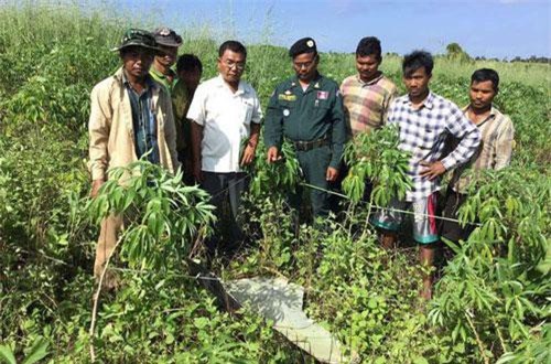 Phát hiện những vật thể lạ nghi UFO tại Campuchia