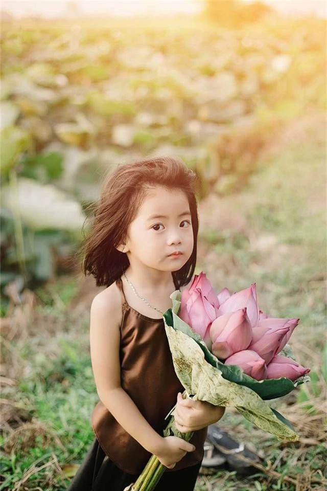 Bé gái Bắc Ninh xinh như thiên thần bên hoa sen - 2