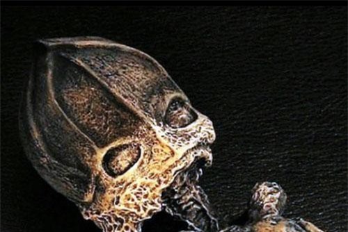 Sự thật sau xác "người lùn ngoài hành tinh"