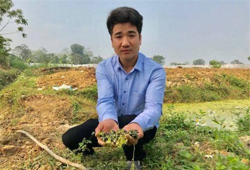 Thanh Hóa: Hotboy 9X nuôi con "siêu đẻ" chỉ ăn bèo, lá cây mà kiếm 300 triệu/năm