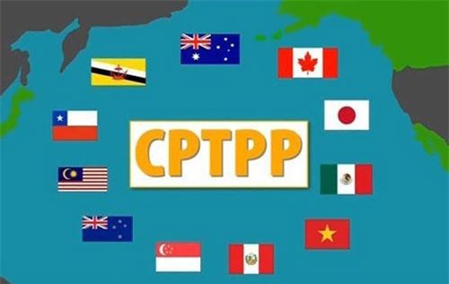 Biểu thuế xuất nhập khẩu ưu đãi đặc biệt thực hiện Hiệp định CPTPP