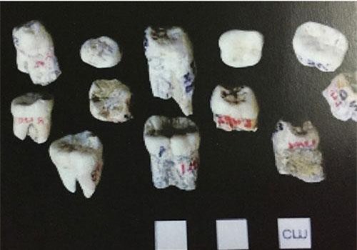 Ngôi chùa kỳ bí chứa cổ vật từ vạn năm trước: Chuyên gia "giải mã"