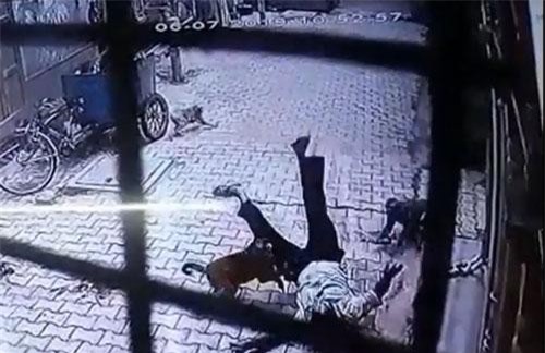 Clip: Bầy khỉ đói chặn đường tấn công người dân