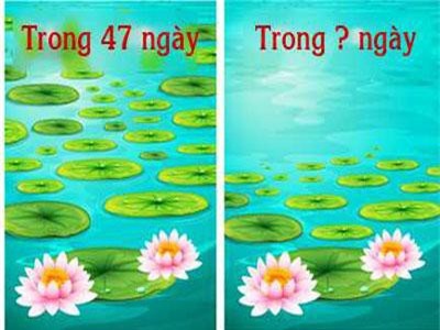 Câu đố hóc búa làm khó cả những người thông minh nhất