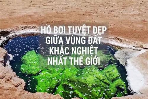 Clip: Bơi lội sảng khoái giữa hồ nước ở vùng đất khắc nghiệt nhất thế giới