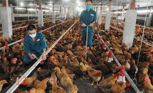 Ưu đãi thuế xuất nhập khẩu từ CPTPP