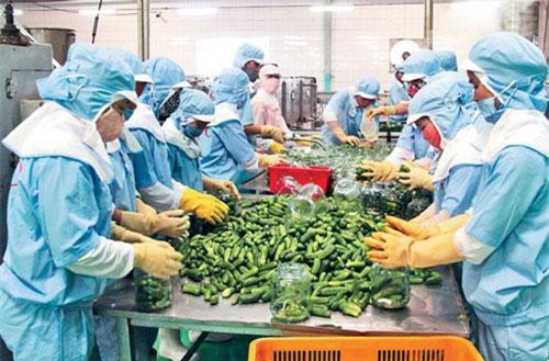 Chủ động khơi thông thị trường xuất khẩu nông sản