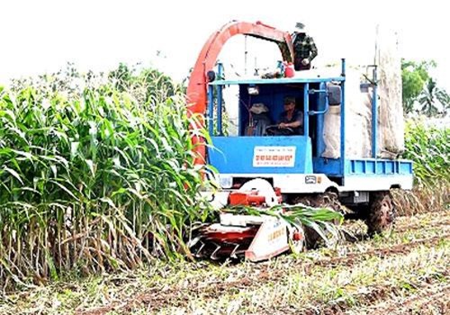 “Kỹ sư làng” chế tạo máy khiến nông dân bái phục ở An Giang