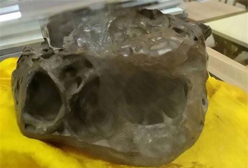 Phát hiện hộp sọ bí ẩn nghi là của người ngoài hành tinh