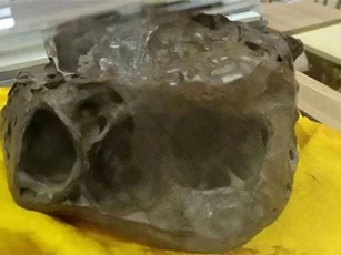 Phát hiện hộp sọ bí ẩn nghi là của người ngoài hành tinh