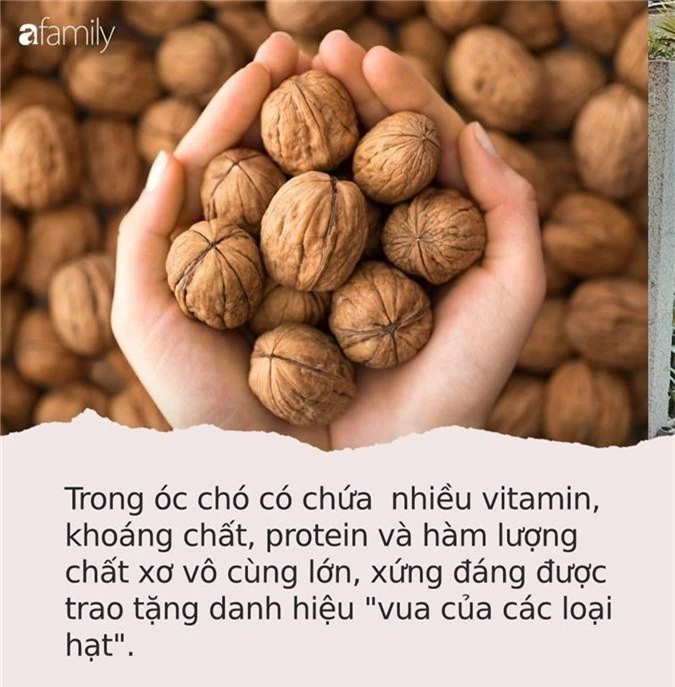 Loại hạt được mệnh danh là ‘vua các loại hạt’, ăn nhiều giúp hạ huyết áp, bảo vệ tim mạch lại kéo dài tuổi thọ - Ảnh 1.