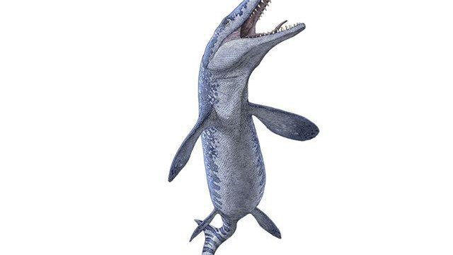 Bất ngờ tìm thấy hoá thoạch quái vật biển cổ đại khi khai thác đá quý