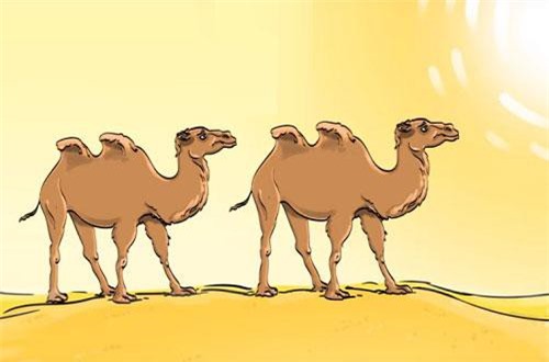 ‘Thể dục trí não’ với câu đố ‘tuy dễ mà khó’ dưới đây