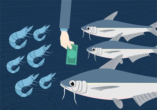 VASEP: Xuất khẩu thủy sản 6 tháng cuối năm sẽ phục hồi, có thể đạt 5 tỷ USD