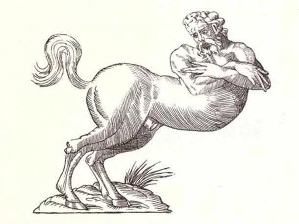 8 sinh vật kỳ lạ hơn nhân mã trong thần thoại Hy Lạp mà bạn chưa từng biết - Ảnh 3.