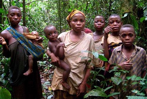 Clip: Bí ẩn bộ lạc người lùn ở châu Phi, 8 tuổi đã trưởng thành 