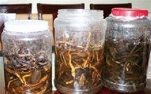 Khánh Hòa: 3 người tử vong, 2 người nguy kịch nghi do uống rượu ngâm hạt cây rừng