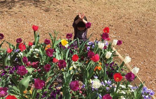 Bức ảnh "đốn tim" nhất MXH hôm nay: Chơi trốn tìm với mẹ, em bé hồn nhiên tạo hình "bông hoa" bên luống tulip