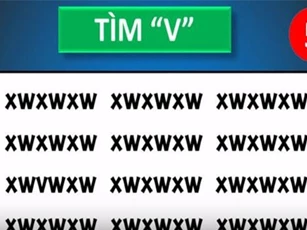 CLIP: 'Hoa mắt' đi tìm đáp án của loạt câu đố thử thách khả năng nhanh nhạy của bạn
