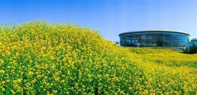 Trung tâm hội nghị quốc tế Jeju khai trương năm 2003 trên đảo Jeju,