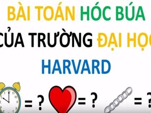 CLIP: Bài toán hóc búa của trường Đại học Harvard