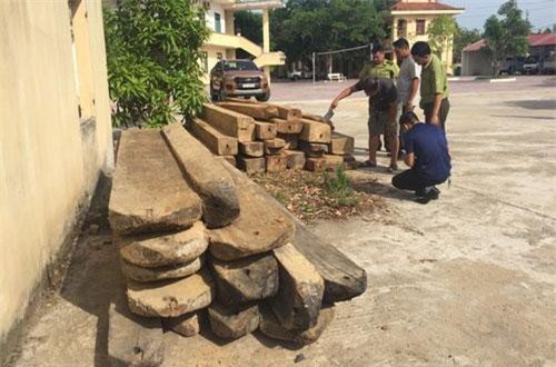 Quảng Bình: Đối tượng chở gỗ lậu tấn công kiểm lâm viên khi bị truy bắt