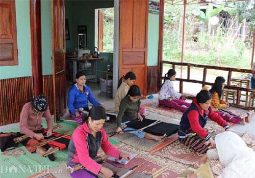 Quảng Nam: Thứ vải của người Cơ Tu có gì lạ mà ai cũng muốn xem?