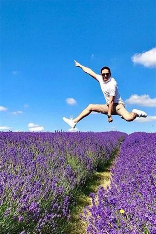 Cánh đồng hoa oải hương tĩnh lặng bỗng chật cứng khách du lịch