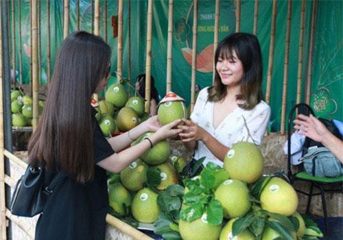 “Bà đỡ” OCOP ở nông thôn Thừa Thiên-Huế