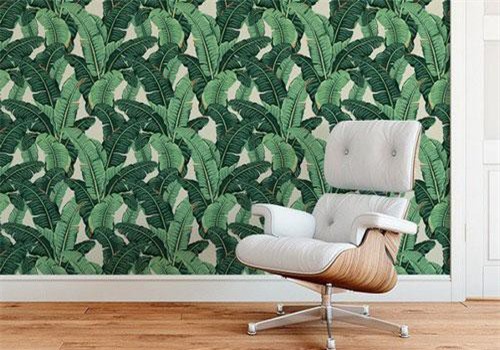 Trang trí tường với hình nền các loại thực vật - xu hướng đang rất phổ biến trong những năm gần đây