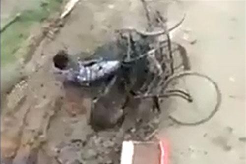 CLIP: Kinh hoàng cảnh lợn rừng tấn công người dân