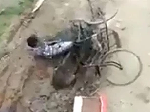 CLIP: Kinh hoàng cảnh lợn rừng tấn công người dân