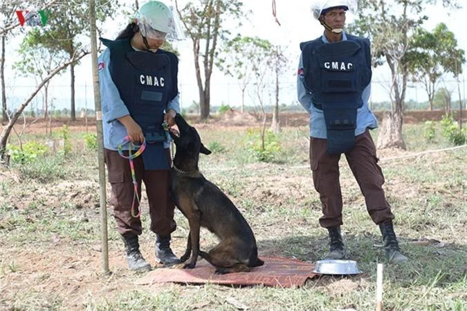 anh: bom min va cac vat lieu no tung gieo rac dau thuong o campuchia hinh 20